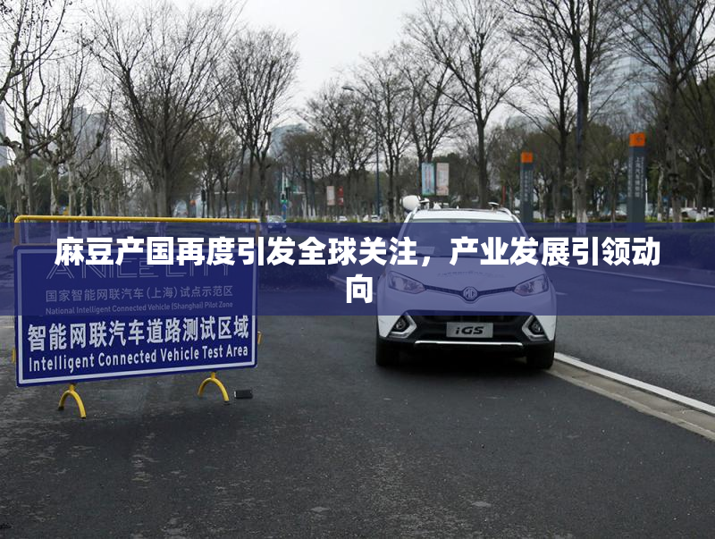 麻豆产国再度引发全球关注，产业发展引领动向