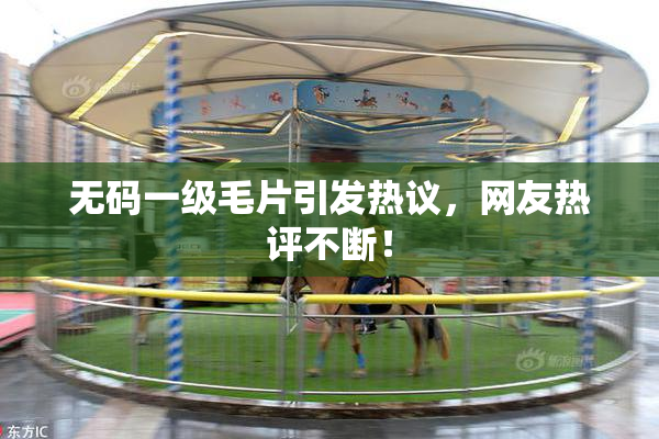 无码一级毛片引发热议，网友热评不断！