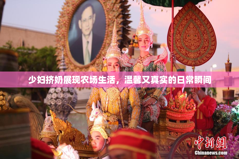 少妇挤奶展现农场生活，温馨又真实的日常瞬间
