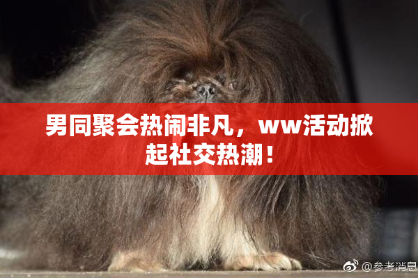 男同聚会热闹非凡，ww活动掀起社交热潮！