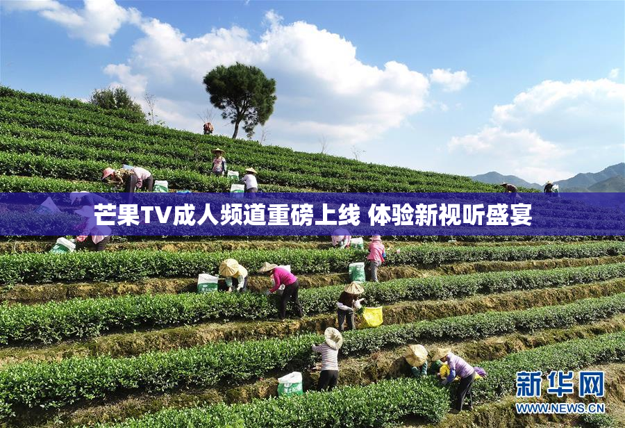 芒果TV成人频道重磅上线 体验新视听盛宴