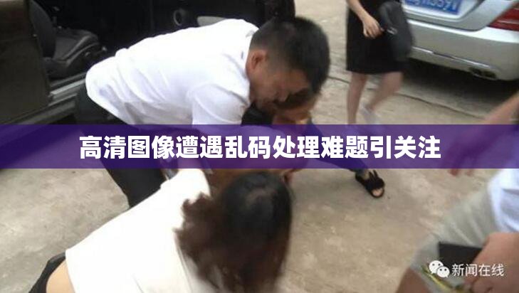 高清图像遭遇乱码处理难题引关注