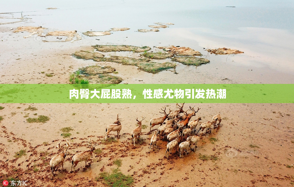肉臀大屁股熟，性感尤物引发热潮