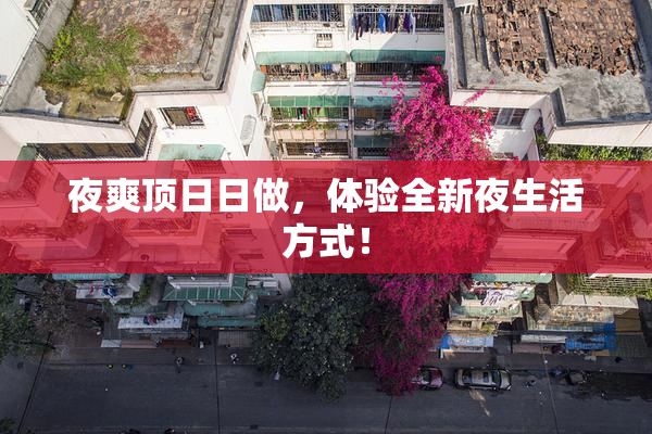 夜爽顶日日做，体验全新夜生活方式！