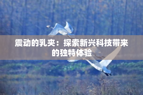 震动的乳夹：探索新兴科技带来的独特体验