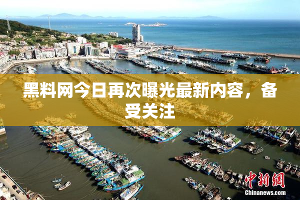 黑料网今日再次曝光最新内容，备受关注