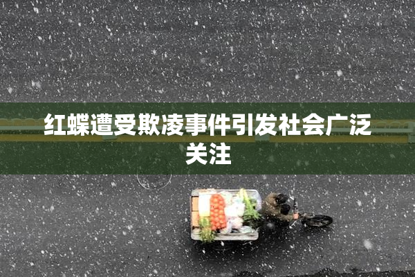 红蝶遭受欺凌事件引发社会广泛关注