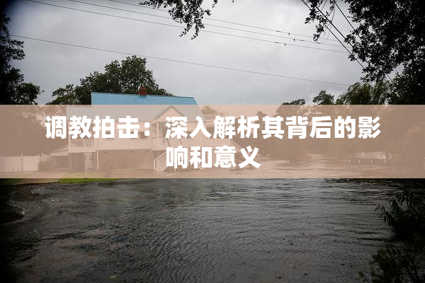 调教拍击：深入解析其背后的影响和意义