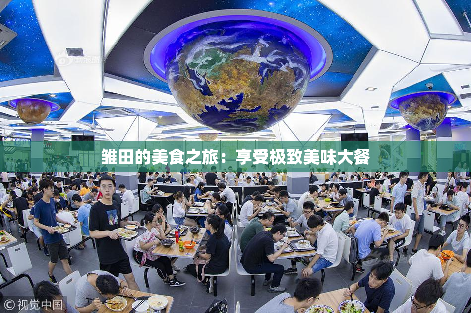 雏田的美食之旅：享受极致美味大餐
