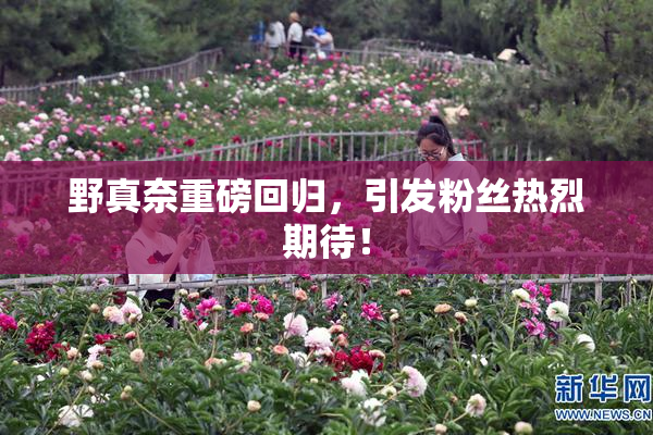 野真奈重磅回归，引发粉丝热烈期待！
