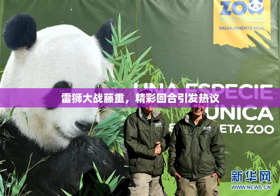 雷狮大战藤重，精彩回合引发热议