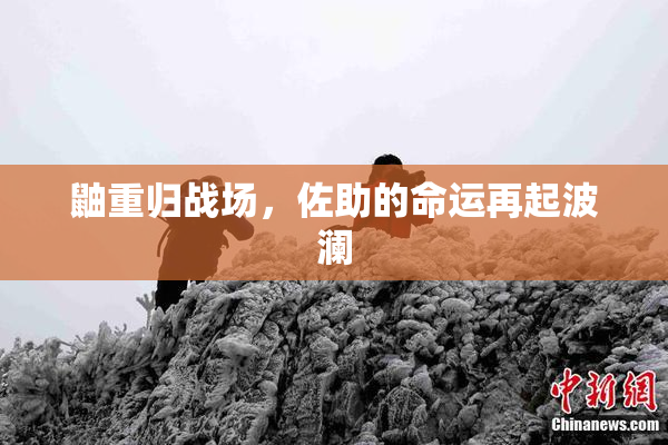 鼬重归战场，佐助的命运再起波澜