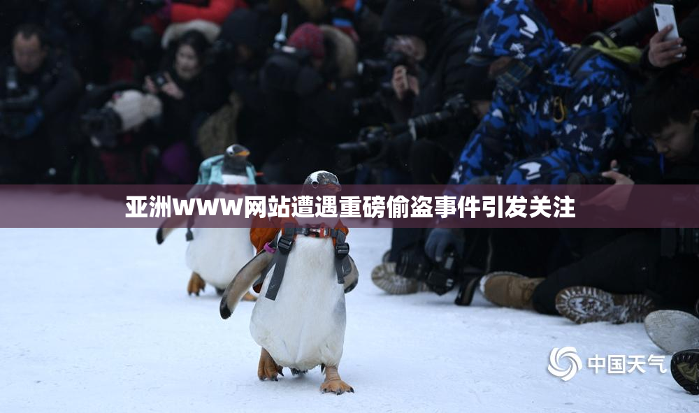 亚洲WWW网站遭遇重磅偷盗事件引发关注