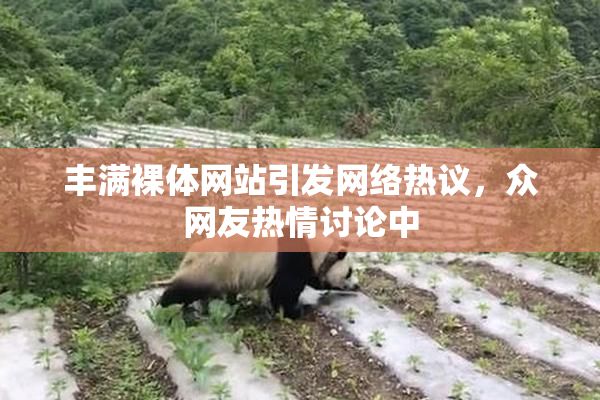 丰满裸体网站引发网络热议，众网友热情讨论中