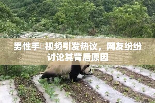 男性手婬视频引发热议，网友纷纷讨论其背后原因