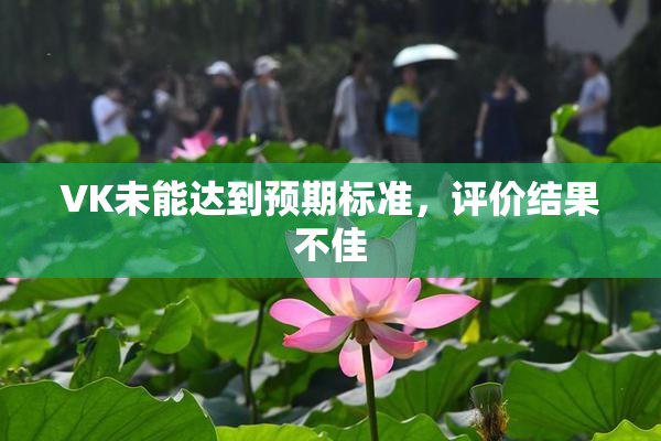 VK未能达到预期标准，评价结果不佳