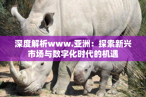 深度解析www.亚洲：探索新兴市场与数字化时代的机遇