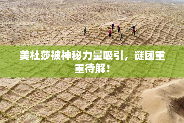 美杜莎被神秘力量吸引，谜团重重待解！