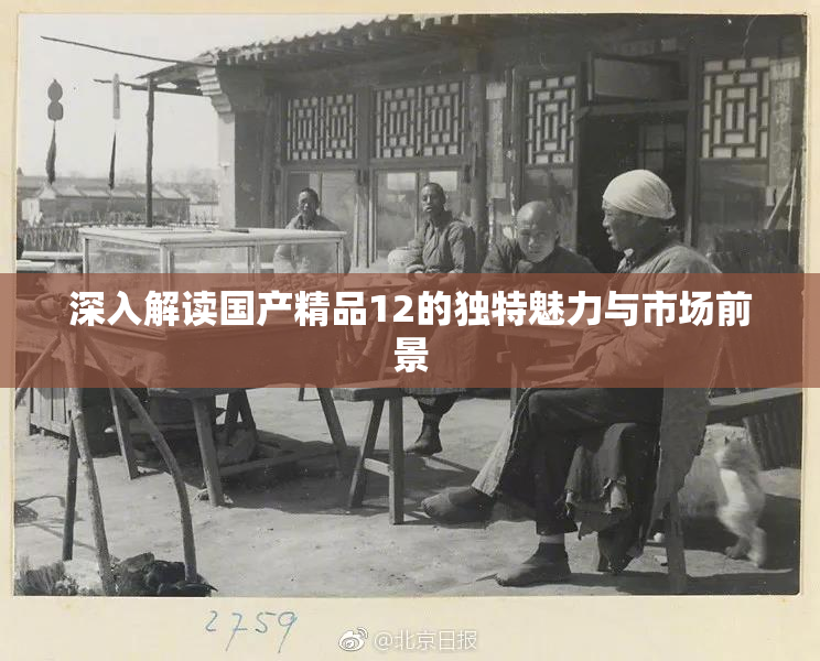 深入解读国产精品12的独特魅力与市场前景