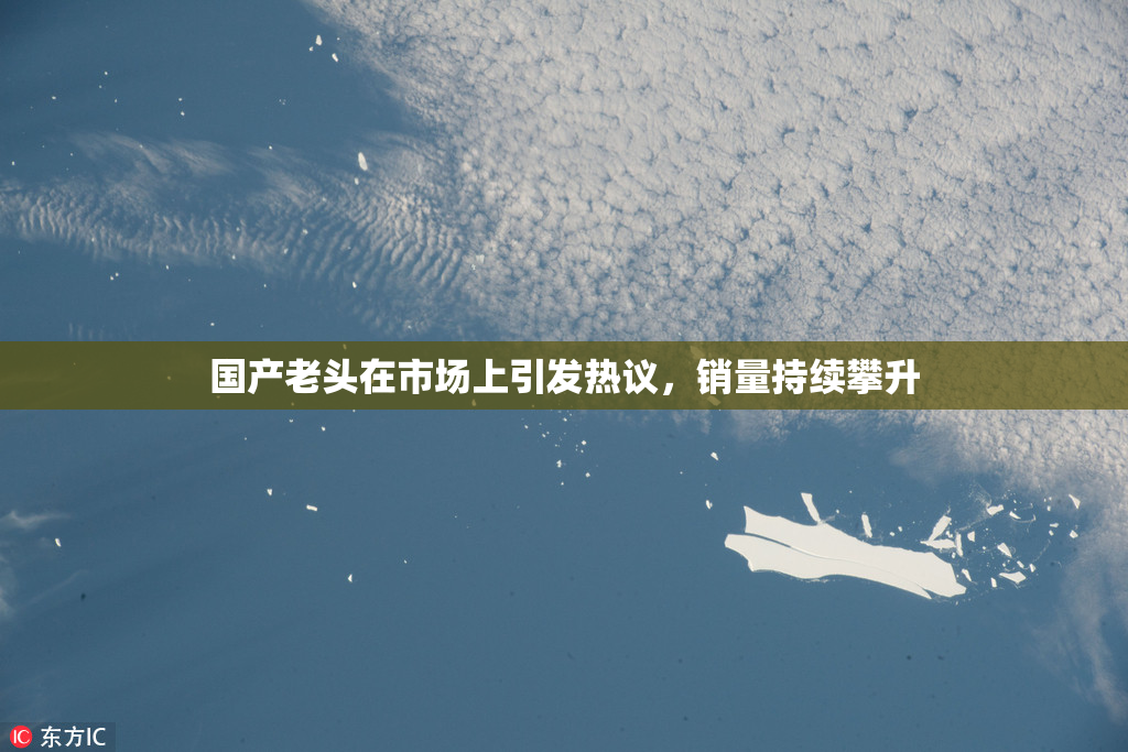 国产老头在市场上引发热议，销量持续攀升