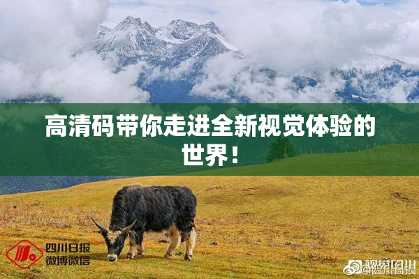 高清码带你走进全新视觉体验的世界！