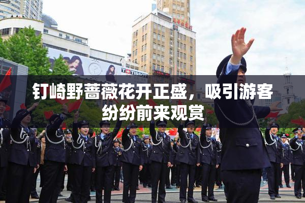 钉崎野蔷薇花开正盛，吸引游客纷纷前来观赏
