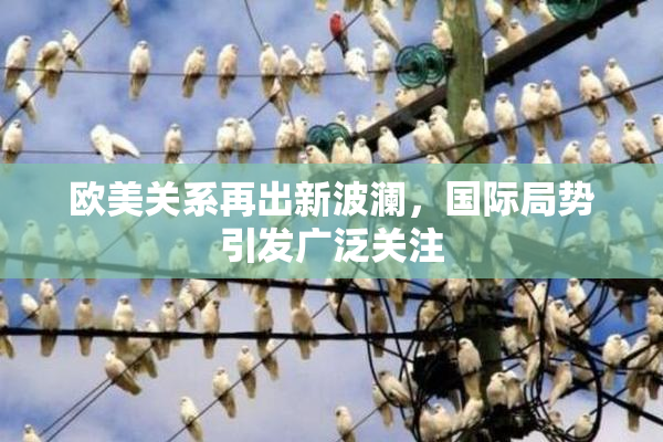 欧美关系再出新波澜，国际局势引发广泛关注