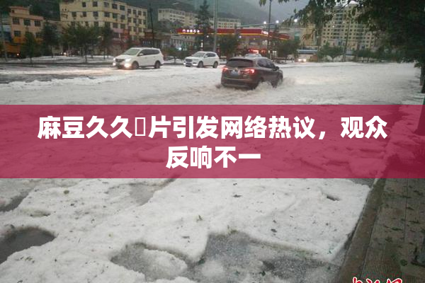 麻豆久久婬片引发网络热议，观众反响不一