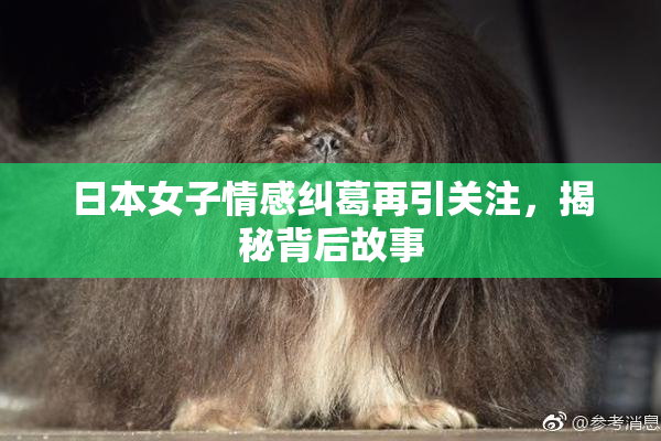 日本女子情感纠葛再引关注，揭秘背后故事
