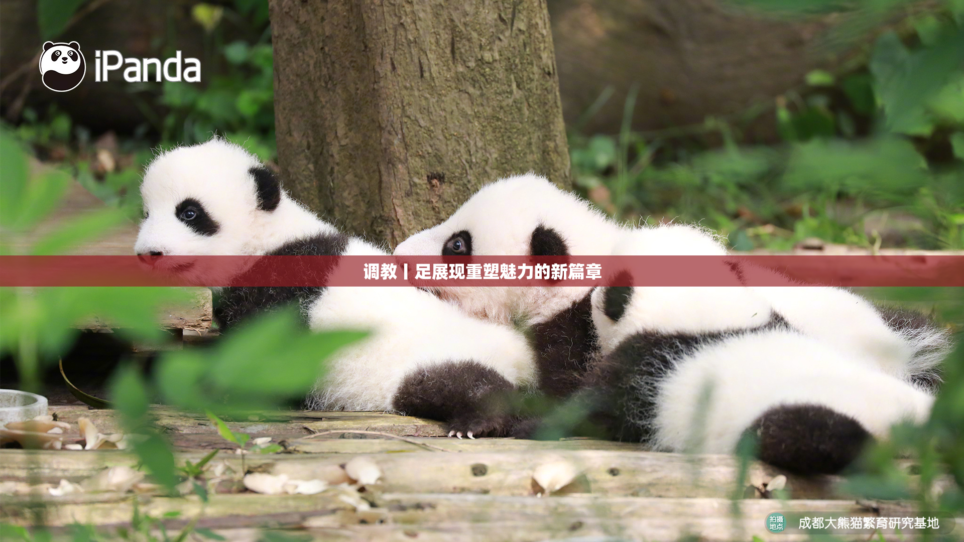 调教丨足展现重塑魅力的新篇章