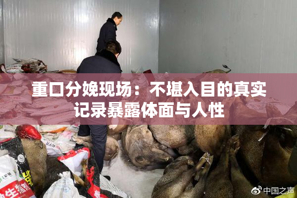 重口分娩现场：不堪入目的真实记录暴露体面与人性