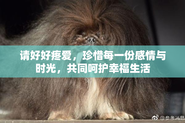 请好好疼爱，珍惜每一份感情与时光，共同呵护幸福生活
