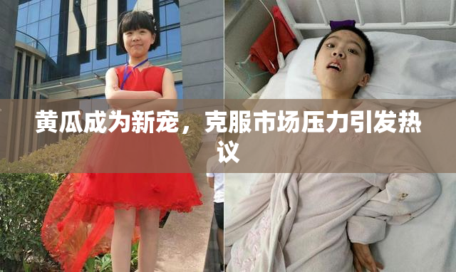 黄瓜成为新宠，克服市场压力引发热议