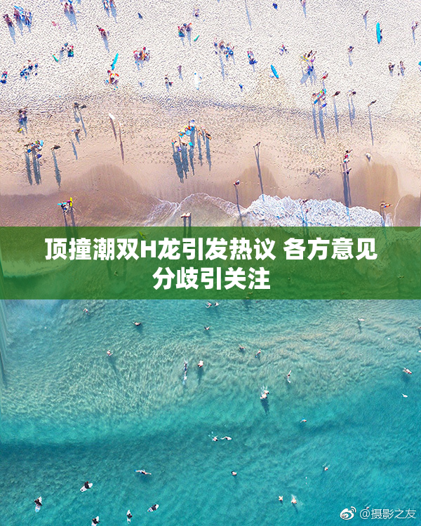 顶撞潮双H龙引发热议 各方意见分歧引关注