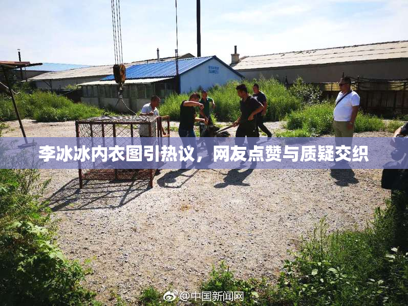 李冰冰内衣图引热议，网友点赞与质疑交织