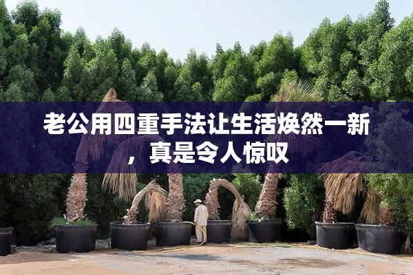 老公用四重手法让生活焕然一新，真是令人惊叹