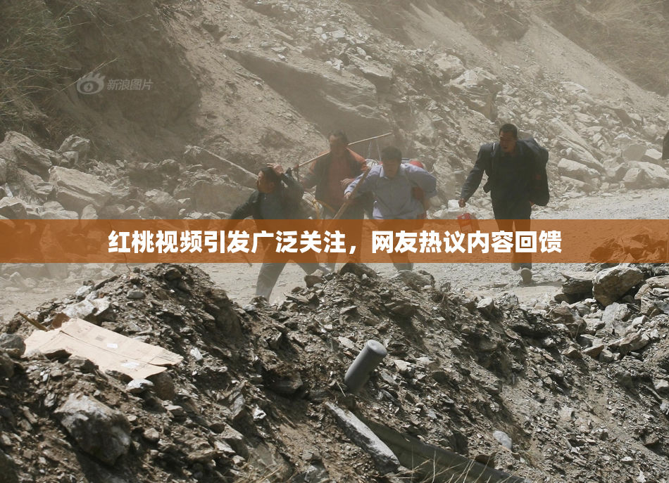 红桃视频引发广泛关注，网友热议内容回馈
