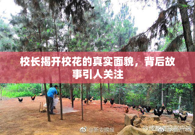 校长揭开校花的真实面貌，背后故事引人关注