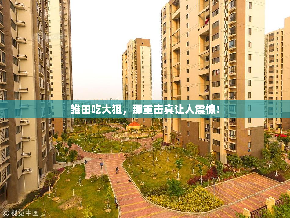 雏田吃大狙，那重击真让人震惊！
