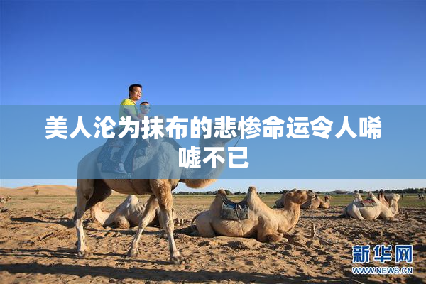 美人沦为抹布的悲惨命运令人唏嘘不已