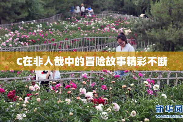 C在非人哉中的冒险故事精彩不断