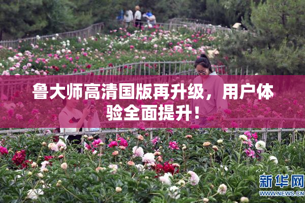 鲁大师高清国版再升级，用户体验全面提升！