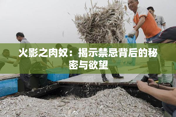 火影之肉奴：揭示禁忌背后的秘密与欲望