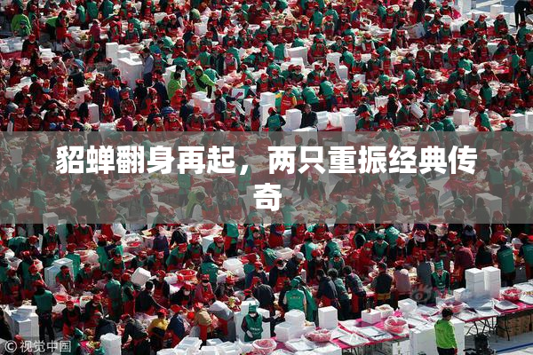 貂蝉翻身再起，两只重振经典传奇