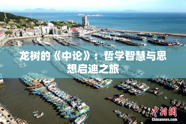 龙树的《中论》：哲学智慧与思想启迪之旅