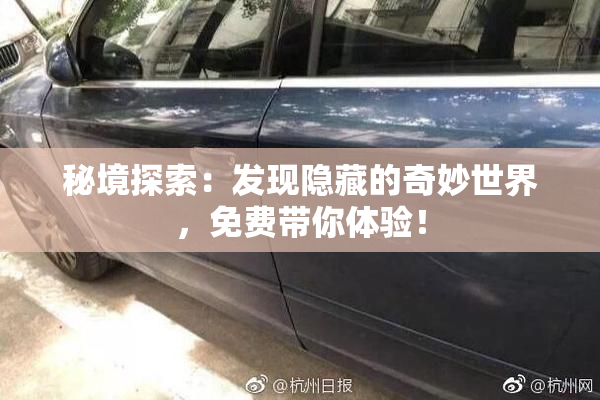 秘境探索：发现隐藏的奇妙世界，免费带你体验！