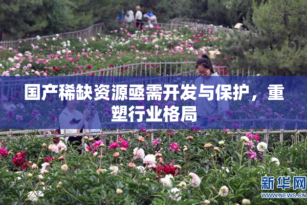 国产稀缺资源亟需开发与保护，重塑行业格局
