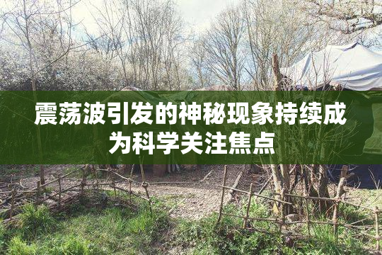 震荡波引发的神秘现象持续成为科学关注焦点