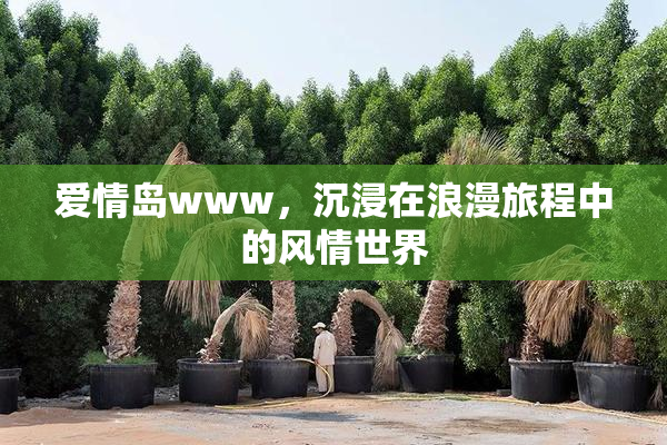 爱情岛www，沉浸在浪漫旅程中的风情世界