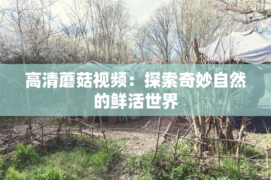 高清蘑菇视频：探索奇妙自然的鲜活世界